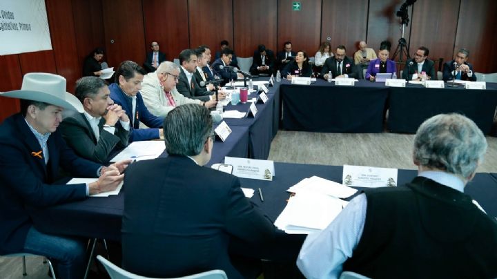 Senado avala como magistrado a socio de Luisa y Bertha alcalde; oposición critica designaciones