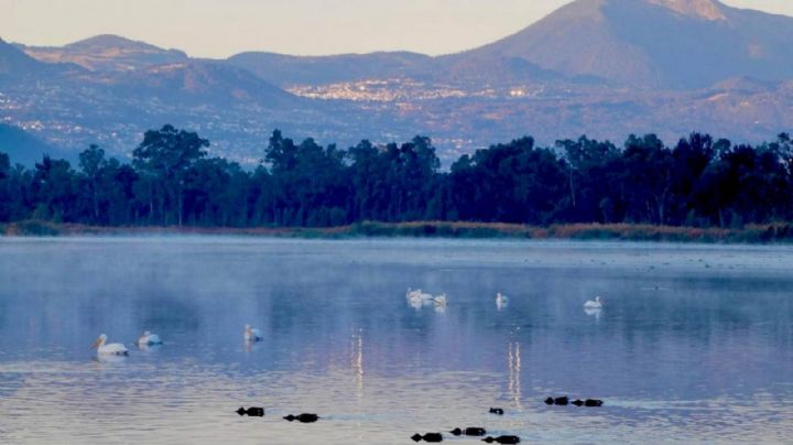EU mete presión a México para entrega de agua