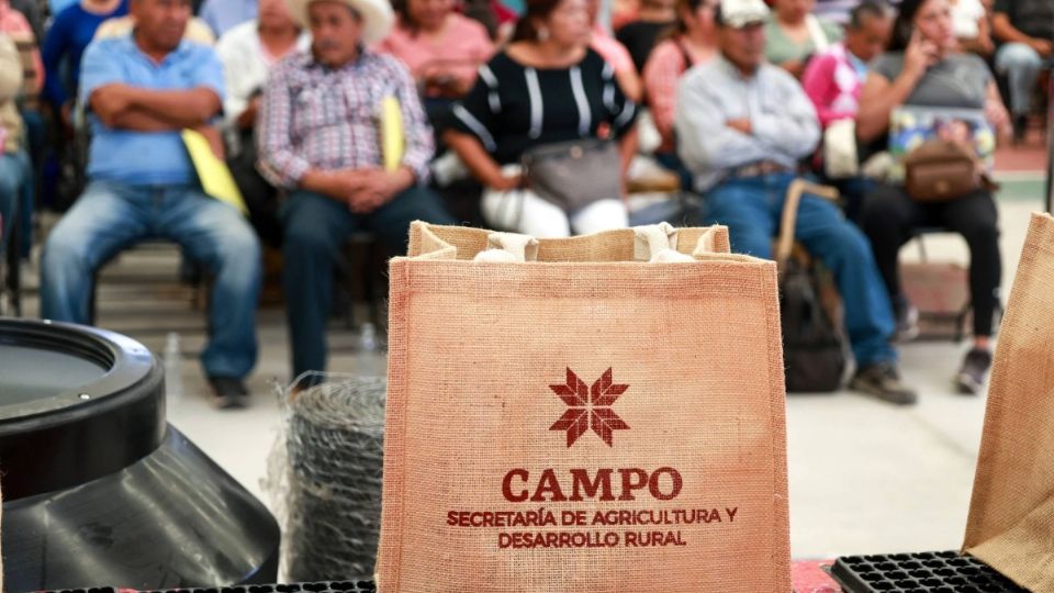 Julio Menchaca aseguró que los procesos de transformación y de reconstrucción se desarrollan de forma paralela