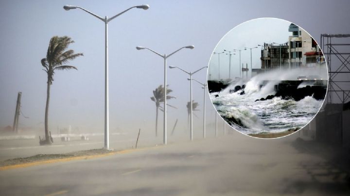 Norte en Veracruz por frente frío hoy 26 de noviembre: estas son las rachas máximas