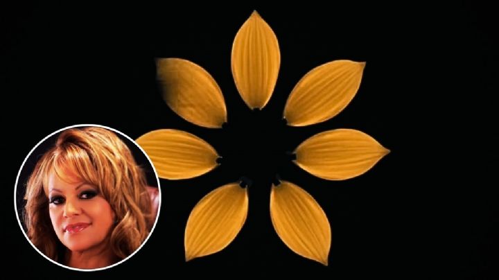 Jenni Rivera sorprende: una publicación en redes desata misterio y expectativa