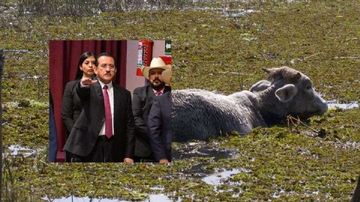 Seguro catastrófico que contrató Cuitláhuac no era redituable: Sedarpa