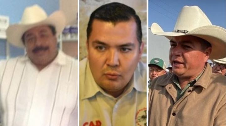 ¿Quiénes son los líderes del movimiento campesino en Guanajuato?