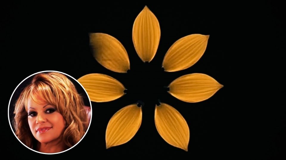 A cobrar vida de manera inesperada