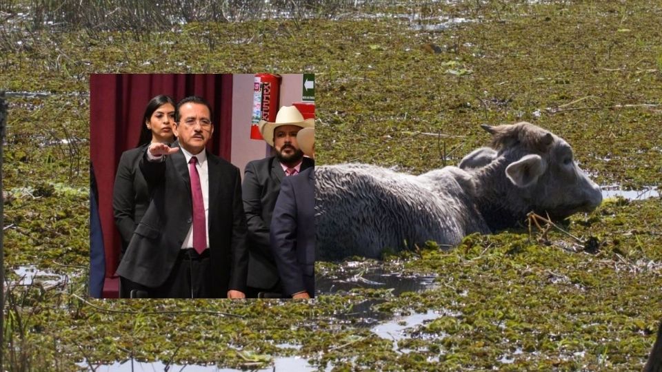 Afirmó que el seguro no daba el apoyo necesario a productores afectados.