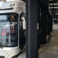 Mexibús Bought Stolen Fuel From Raúl Rocha Cantú, Owner of Miss Universe