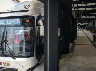 Mexibús Bought Stolen Fuel From Raúl Rocha Cantú, Owner of Miss Universe