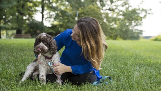¿Tienes perro o gato? Estos son los 5 cuidados básicos que debes aplicar