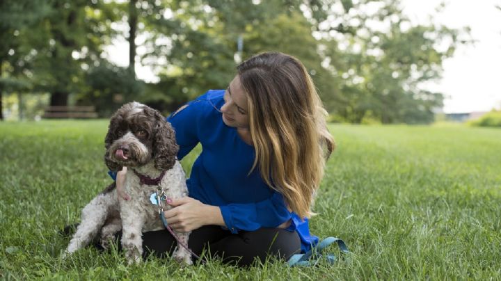 ¿Tienes perro o gato? Estos son los 5 cuidados básicos que debes aplicar