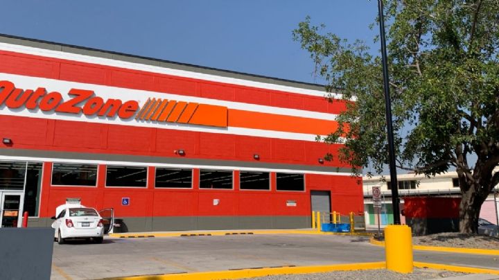 El árbol que sobrevivió a las construcciones: nadie pudo moverlo