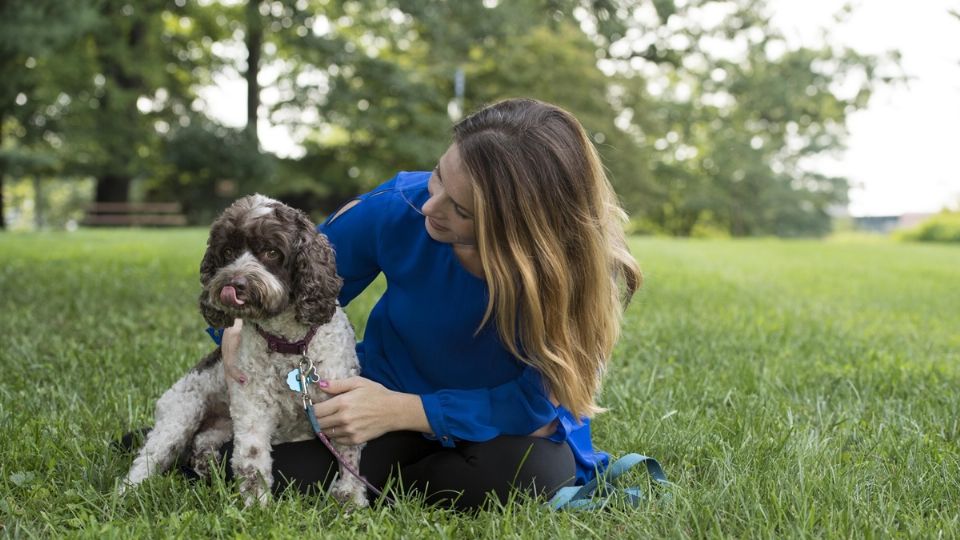 Mediante el modelo de los 5 dominios