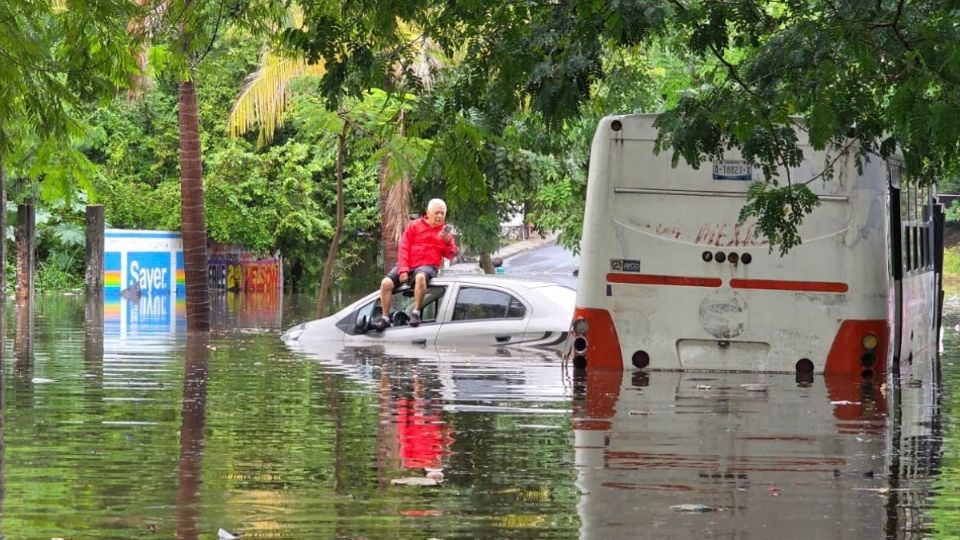 En la colonia Acosta Lagunes.