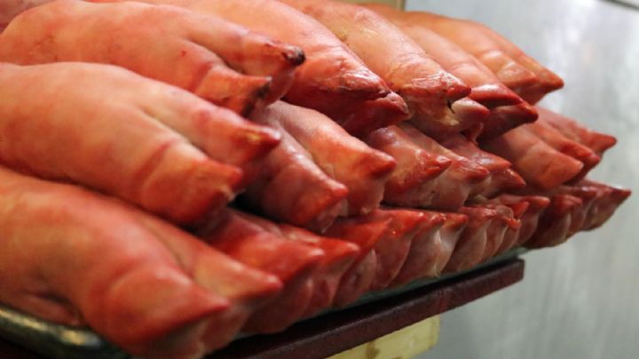 México frena importación de cerdo español tras brote de peste porcina africana en Barcelona