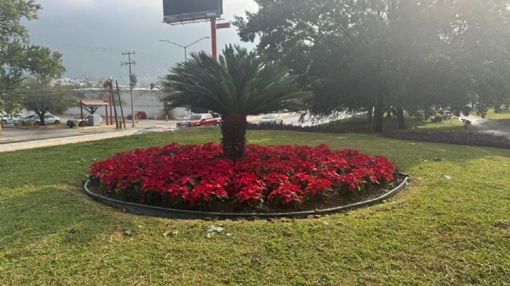 Monterrey prepara festival navideño