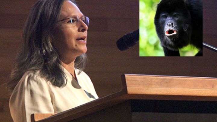 Baja diversidad genética pone en alto riesgo a monos aulladores de México