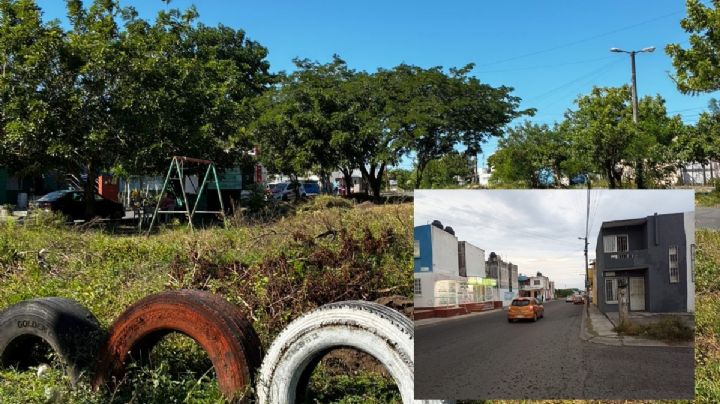 Sin áreas verdes: la realidad de los fraccionamientos en la ciudad de Veracruz