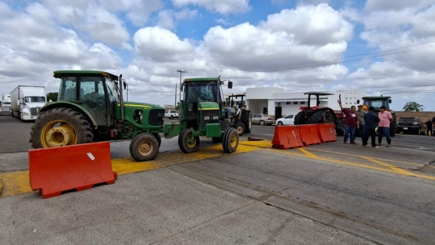 Crisis del maíz en México: importaciones récord hunden a pequeños productores