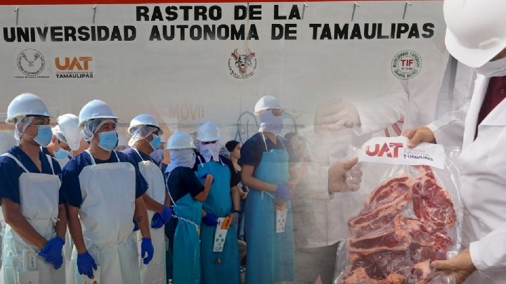 Rastro TIF de la UAT producirá carne para el mercado internacional