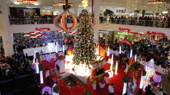 Navidad en Pachuca: estas son las fechas de los encendidos de árboles en Galerías y Explanada