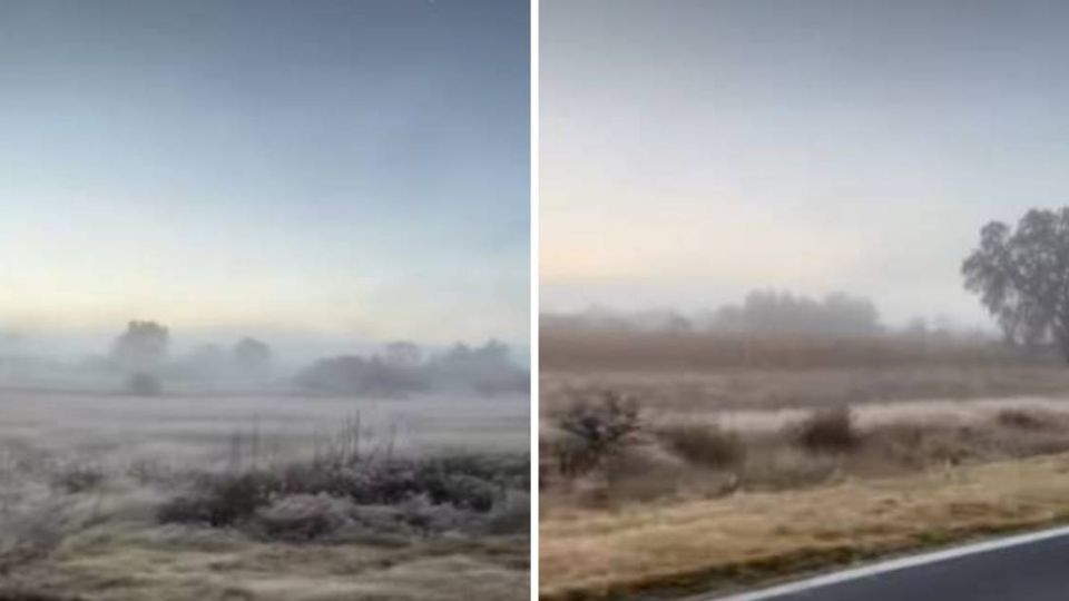 En un video compartieron las primeras heladas en la carretera Victoria-Dr. Mora.
