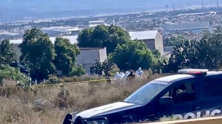 Reportan cadáver en terreno baldío de Mineral de la Reforma; esto sabemos