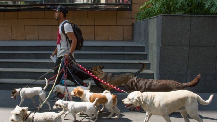 Sin oportunidades: jóvenes en México enfrentan desempleo e informalidad