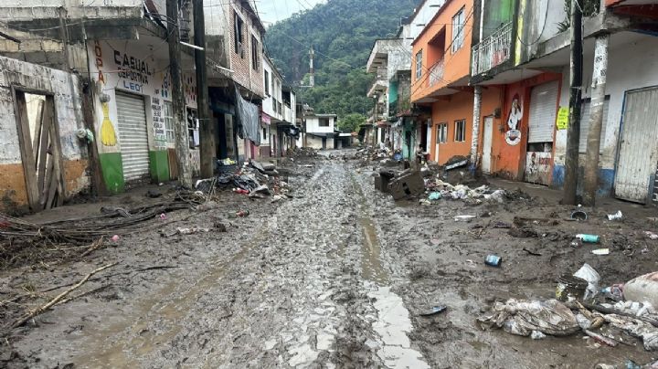 Empleo construyendo el futuro, el programa para reconstruir al estado que dará 34 mil pesos