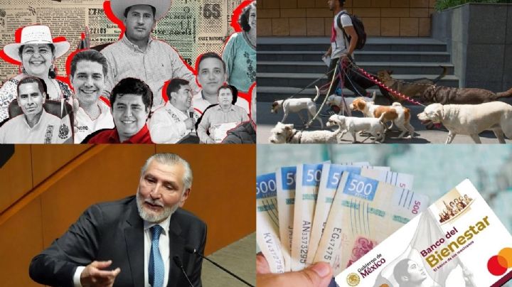 Por si te lo perdiste: corrupción, violencia y ajustes que marcaron la semana