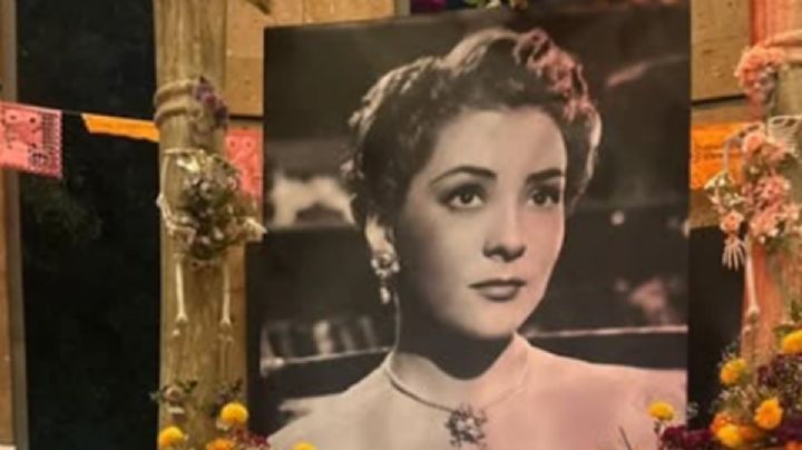 Revelan presunto maltrato a Silvia Pinal en sus últimos días: “Intentaba defenderse, pero la mandaban a dormir”