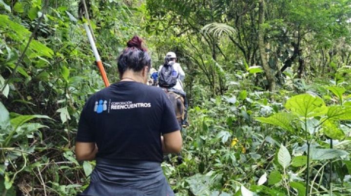 Por la búsqueda de personas desaparecidas en Colombia