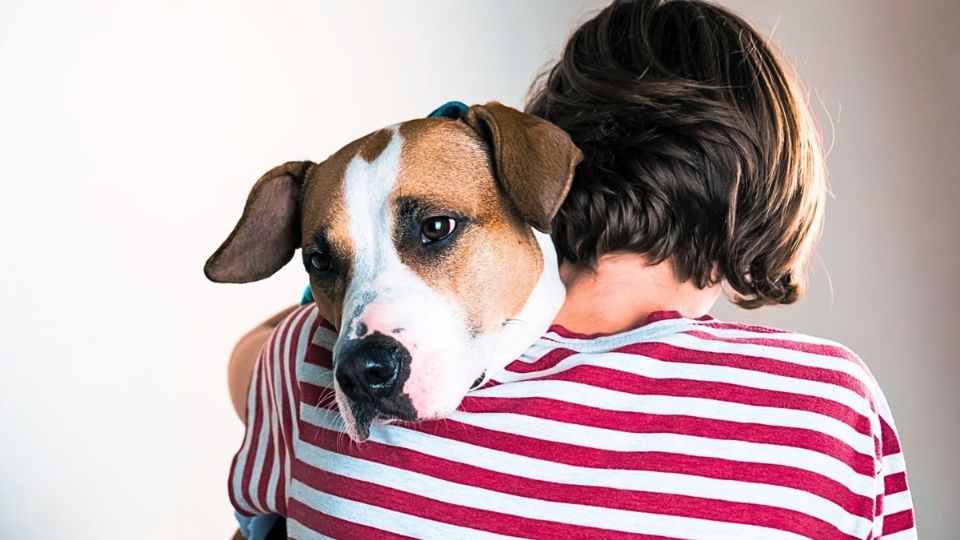 Atraviesa un momento emocional difícil