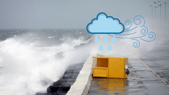 Frente frío 13 en Veracruz: estas son las rachas máximas de viento que se registran por ingreso