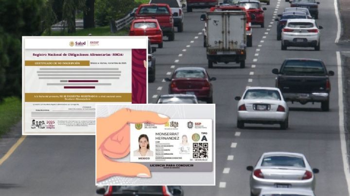 Deudores alimentarios no podrán tramitar licencia de conducir en Veracruz