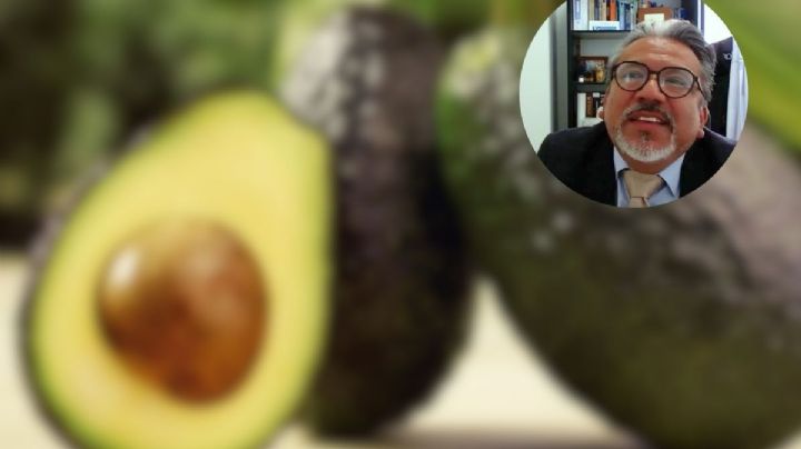 Aguacate: con múltiples beneficios y más por descubrir