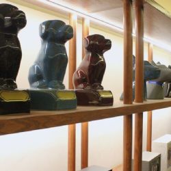 Funerales para mascotas: el servicio que crece en México y está cambiando la forma de despedirlas