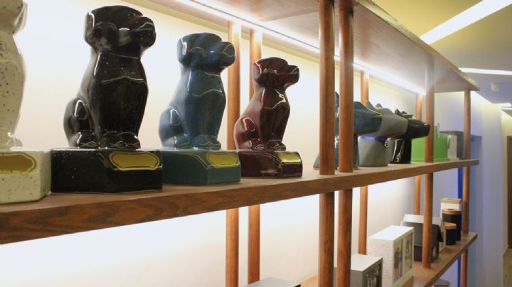 Funerales para mascotas: el servicio que crece en México y está cambiando la forma de despedirlas