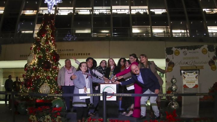 Navidad en el Senado: 5.7 millones de pesos costó nacimiento, árbol y conciertos de temporada