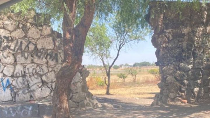 Las bardas del Zoológico de León tienen hoyos gigantes en el Safari