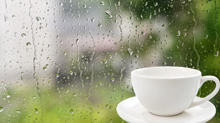 Frente frío 20: lluvias para estos municipios y descenso de temperatura; así el clima hoy