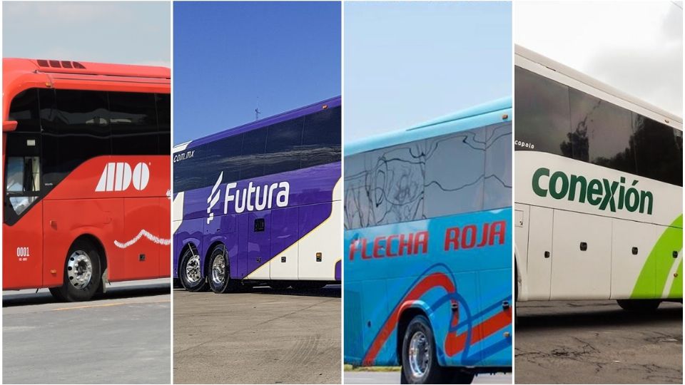 Cada una de las cuatro empresas se encuentran debidamente registradas