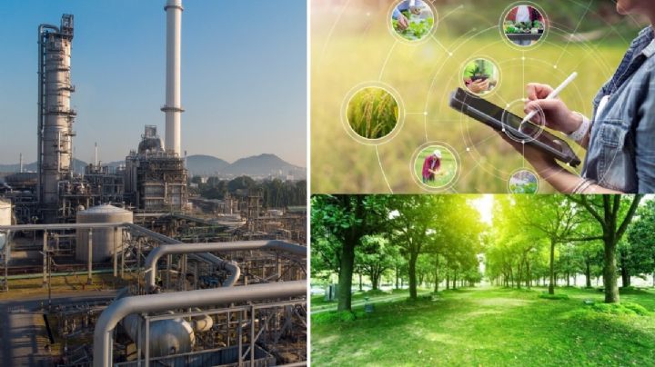 Todo lo que debes de saber sobre el Parque Ecológico y de Reciclaje en Hidalgo