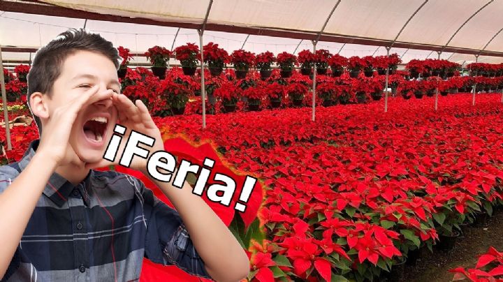 En esta Navidad, Hidalgo celebra la tradicional Feria de la Nochebuena; todo esto habrá