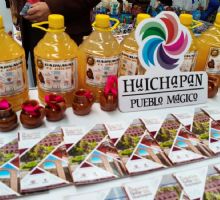 Hacienda Montealegre y Parque Dandhó, sitios imperdibles en Huichapan