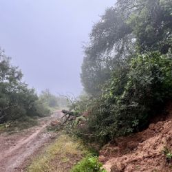 Así estará el clima en los 46 municipios de Guanajuato este sábado 13 de diciembre