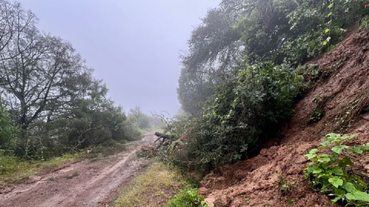 Así estará el clima en los 46 municipios de Guanajuato este sábado 13 de diciembre