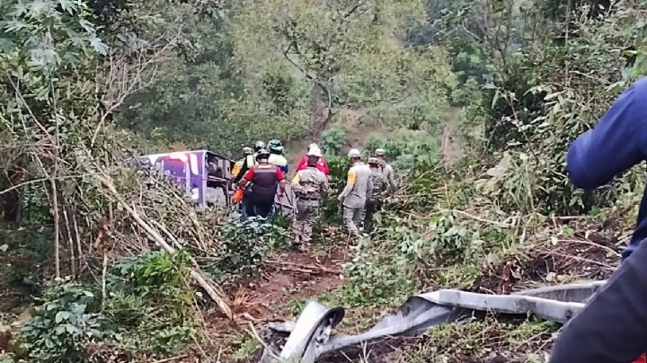 Fallecen 5 pasajeros y 27 heridos al caer autobús a barranco en la México-Tampico