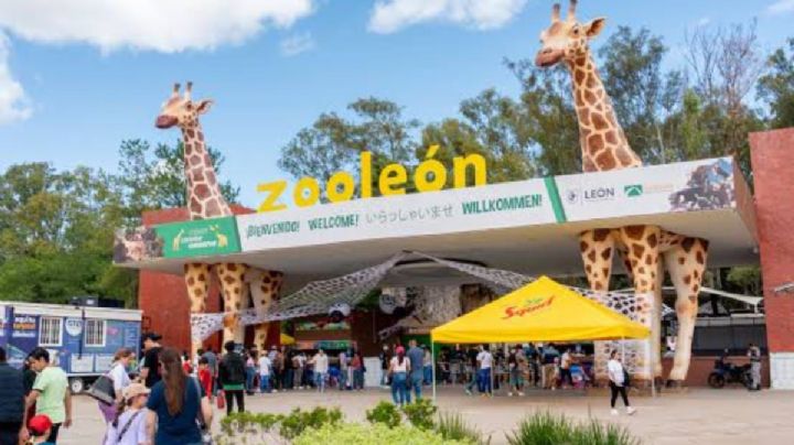 El Zoólogico de León sigue abierto pese a orden judicial de cierre temporal