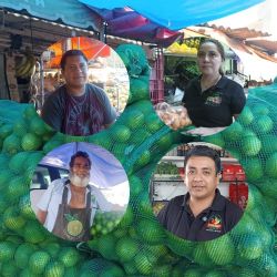 El limón más barato de México afecta a productores: locatarios del mercado Malibrán en Veracruz