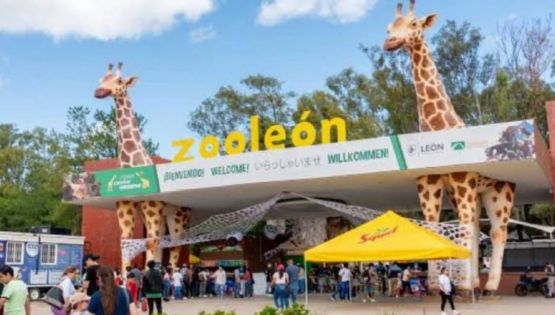 Auditores levantaron 33 observaciones al Zoológico de León