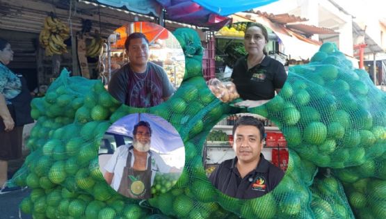 El limón más barato de México afecta a productores: locatarios del mercado Malibrán en Veracruz